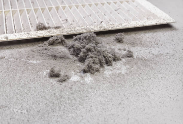 Best Dryer Vent Cleaning Services  in Shell Valley, ND