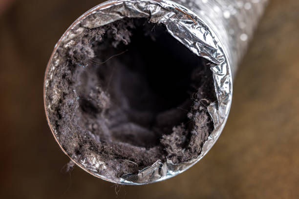 Best Commercial Air Duct Cleaning  in Shell Valley, ND