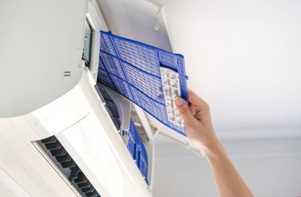 Best Affordable Duct Cleaning Services  in Shell Valley, ND